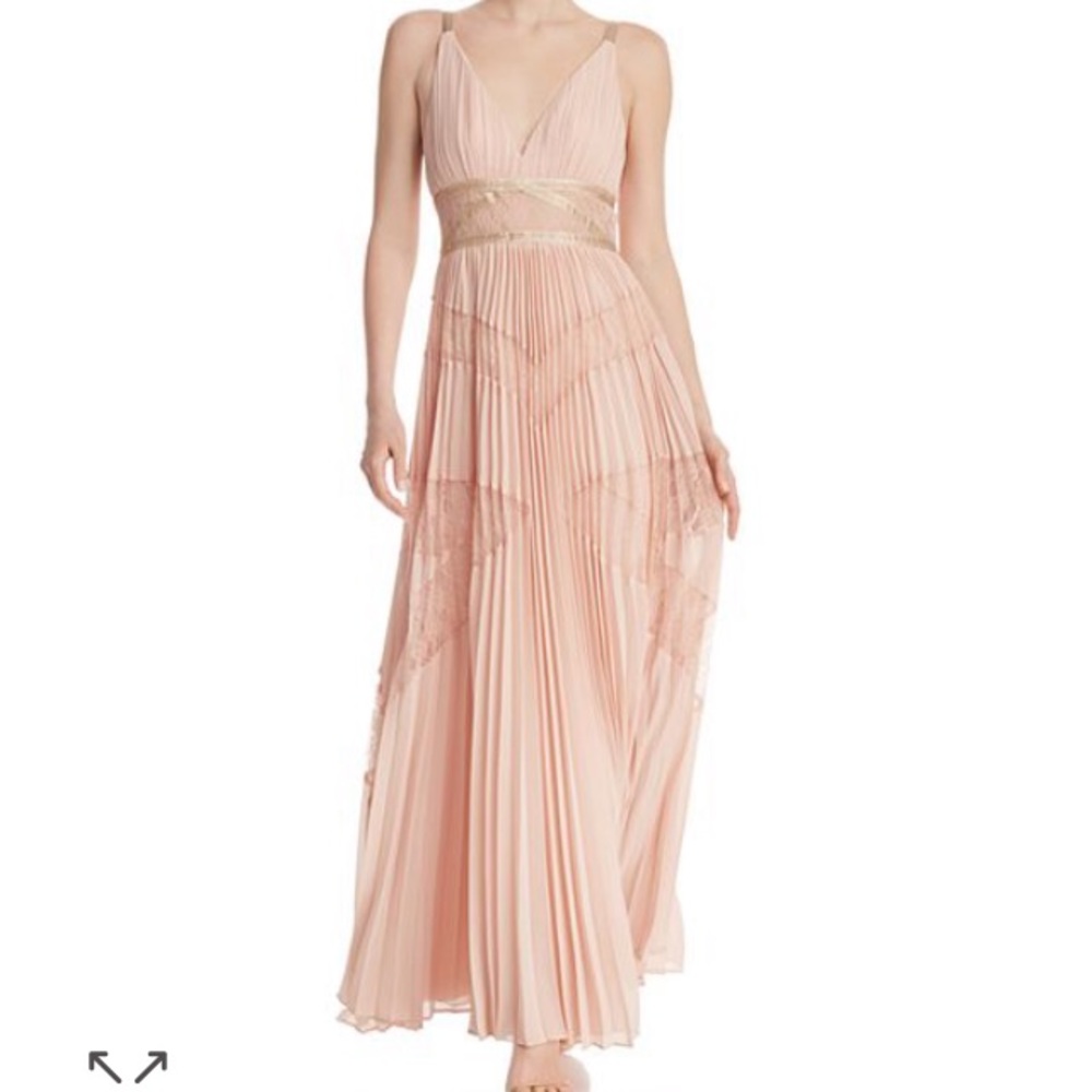 Bcbgmaxazaria blush gown